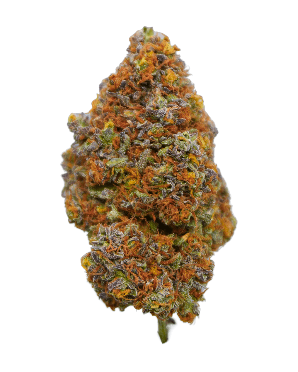 LA Sunzet CBD Indoor